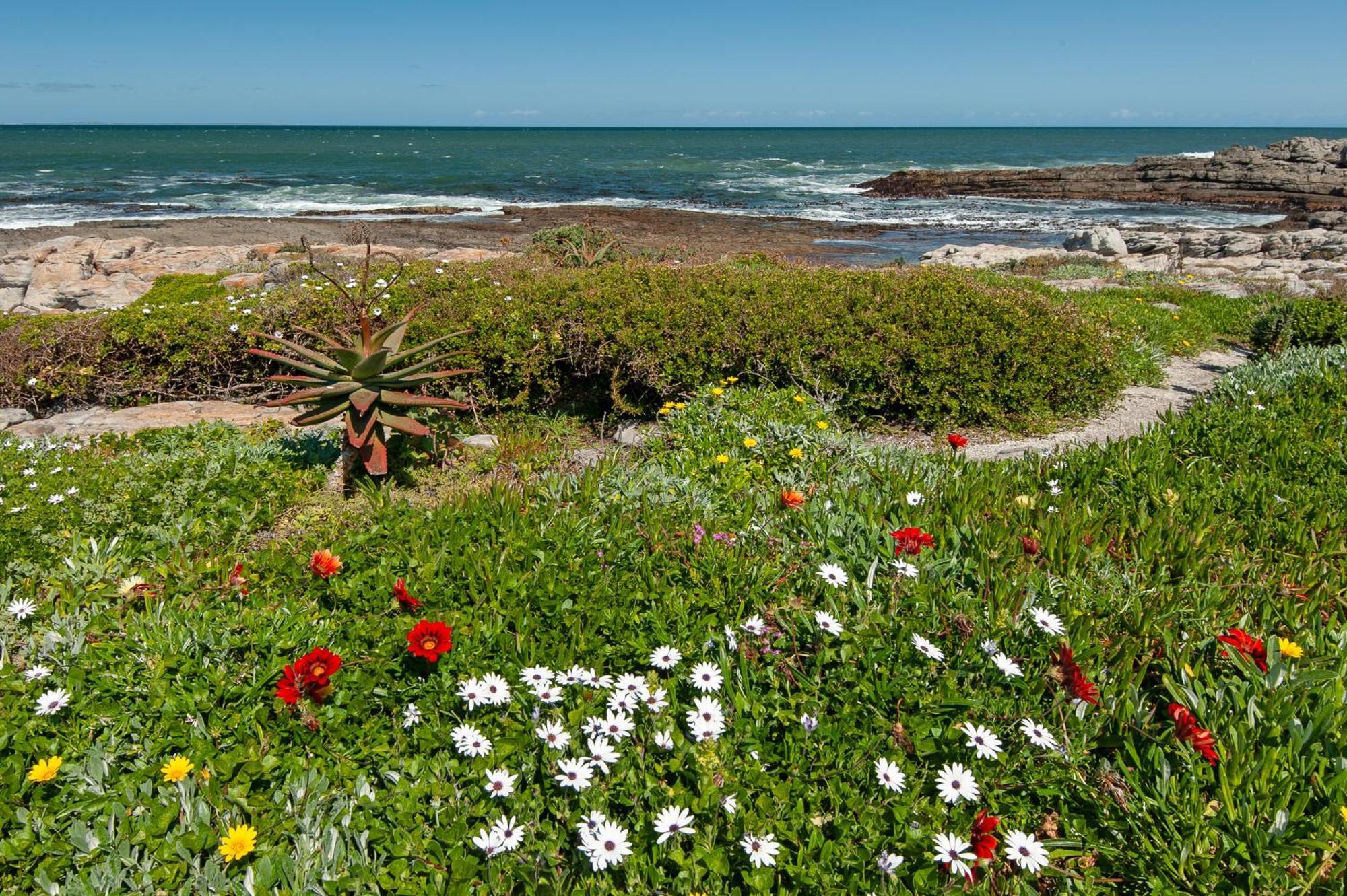 Apartment 49 Whalerock Hermanus